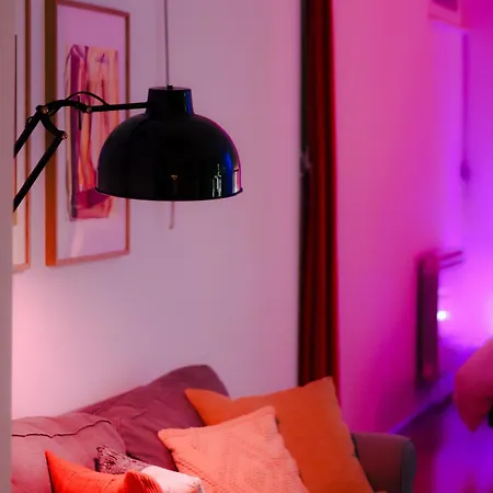 Grand Loft Avec Patio Proche Des Quais Estrasburgo