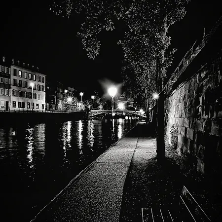 Apartamento Grand Loft Avec Patio Proche Des Quais *