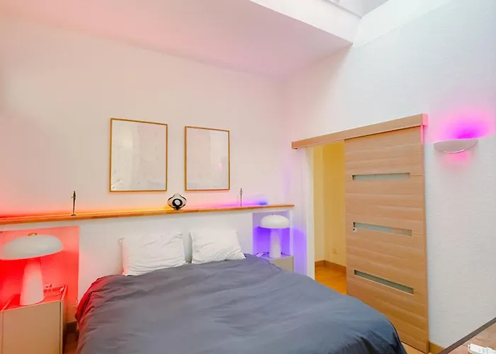 Grand Loft Avec Patio Proche Des Quais * Strasbourg