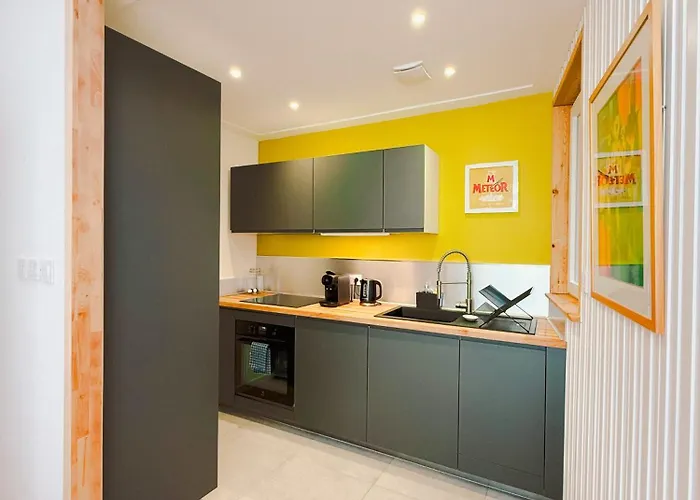 Grand Loft Avec Patio Proche Des Quais Strasbourg