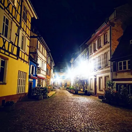 Grand Loft Avec Patio Proche Des Quais Lägenhet Strasbourg