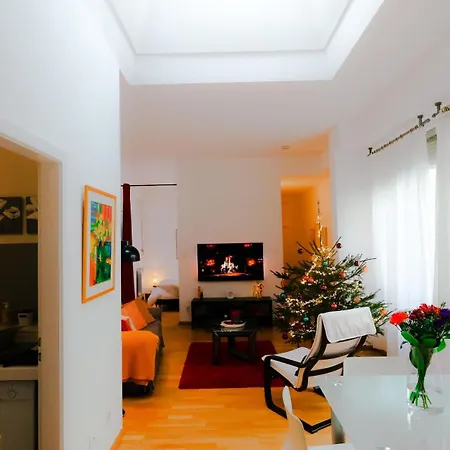 Grand Loft Avec Patio Proche Des Quais Strasbourg